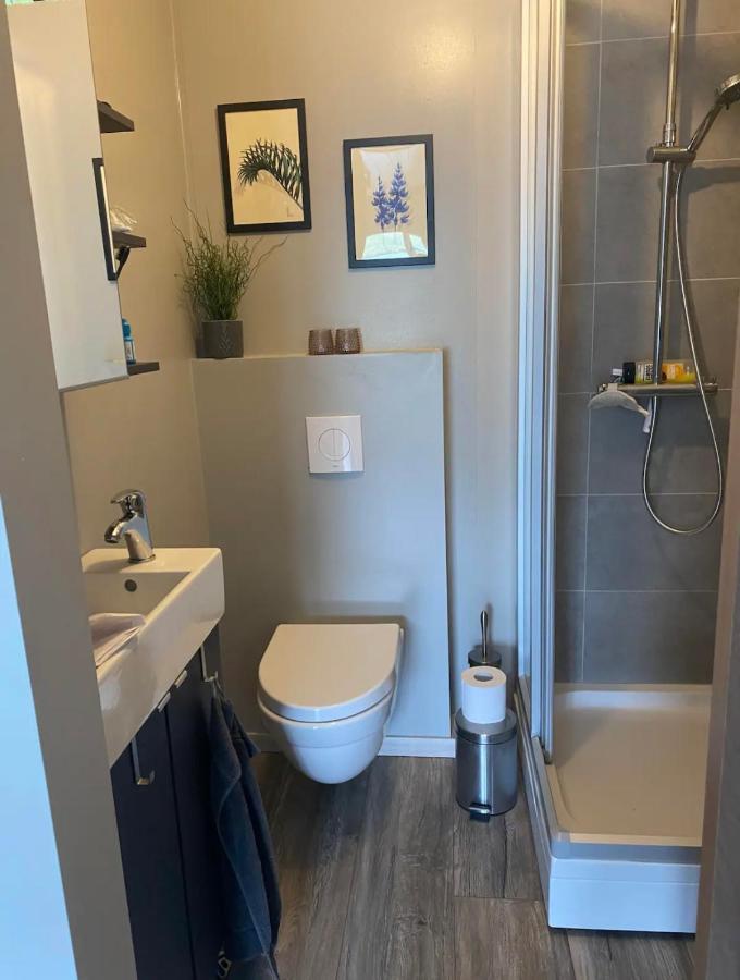 Cosy Lakeview Cabin 45 Minutes From Reykjavik Мосфелсбайр Екстериор снимка