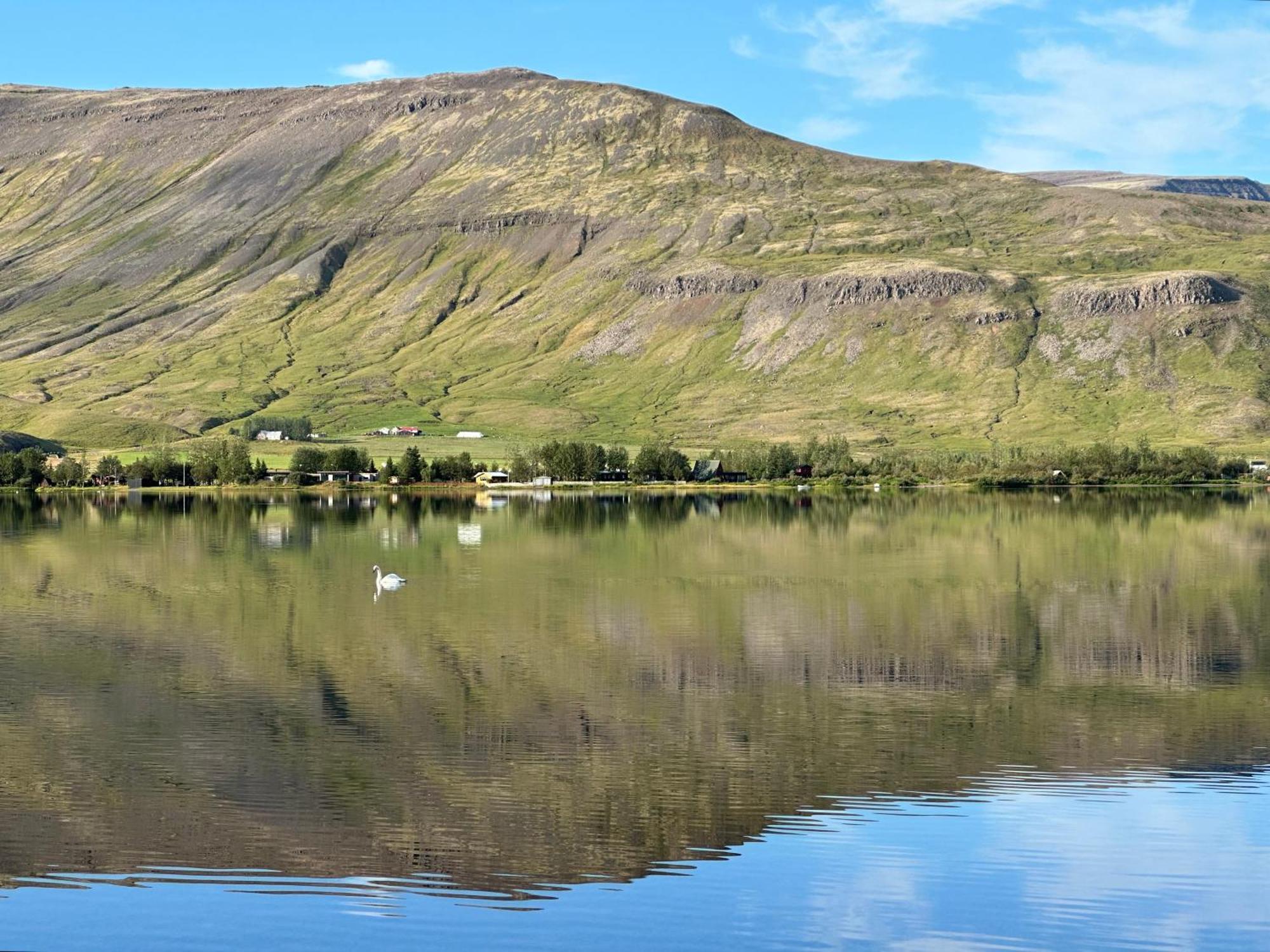 Cosy Lakeview Cabin 45 Minutes From Reykjavik Мосфелсбайр Екстериор снимка